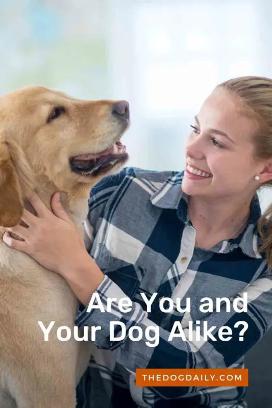 Are You and Your Dog Alike thedogdaily.com
