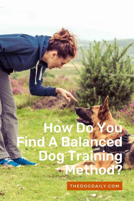Balanced Dog Training thedogdaily.com