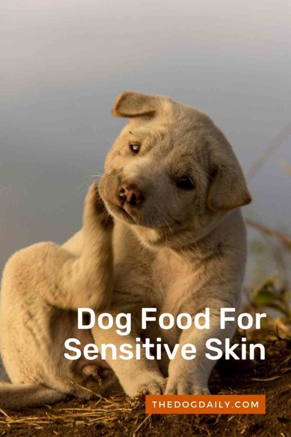 What Is the Best Dog Food For Sensitive Skin?