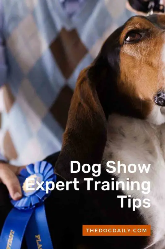 Dog Show Expert Training Tips thedogdaily.com