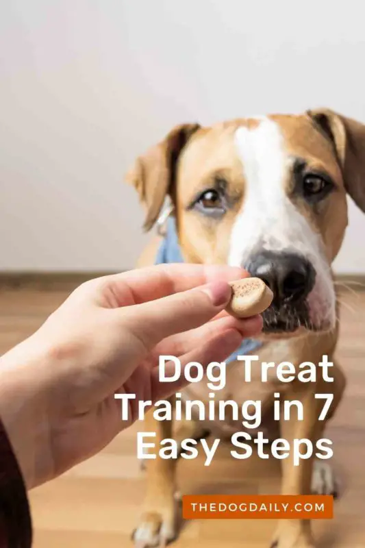 Dog Treat Training in 7 Easy Steps thedogdaily.com