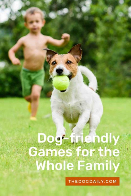 Dog-friendly Games for the Whole Family thedogdaily.com