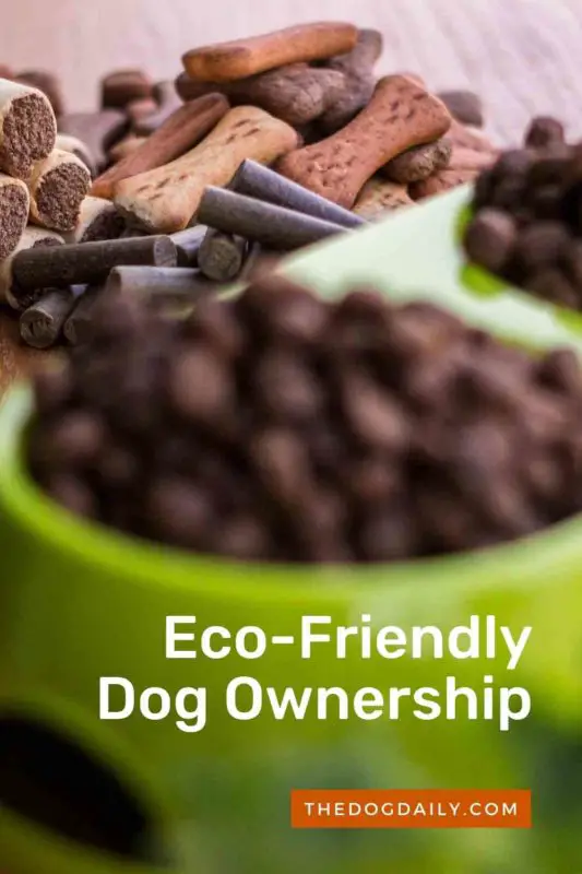 Eco-Friendly Dog Ownership thedogdaily.com