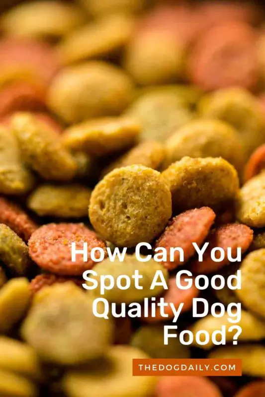 How Can You Tell The Quality Of Dog Food You Feed Your Dog?