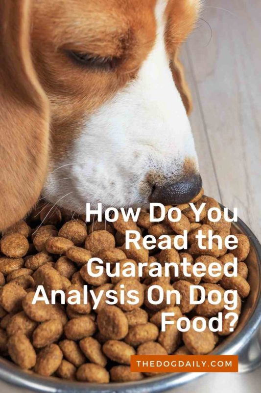 How Do You Read the Guaranteed Analysis On Dog Food thedogdaily.com