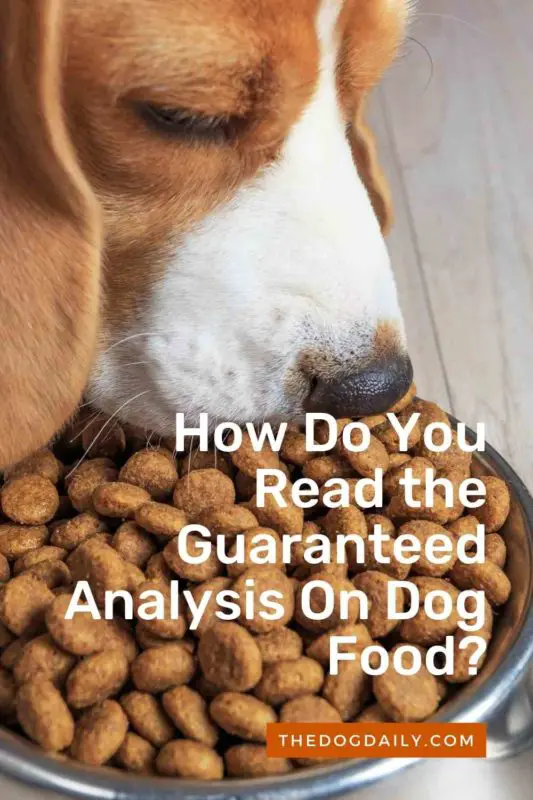 How Do You Read The Guaranteed Analysis on Dog Food?