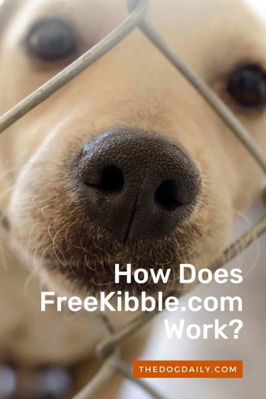 How Does FreeKibble.com Work thedogdaily.com