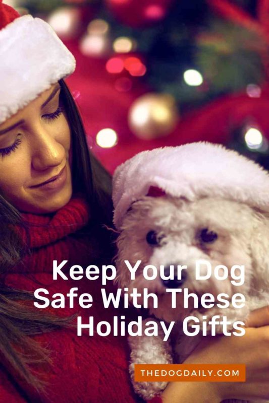 Keep Your Dog Safe With These Holiday Gifts thedogdaily.com