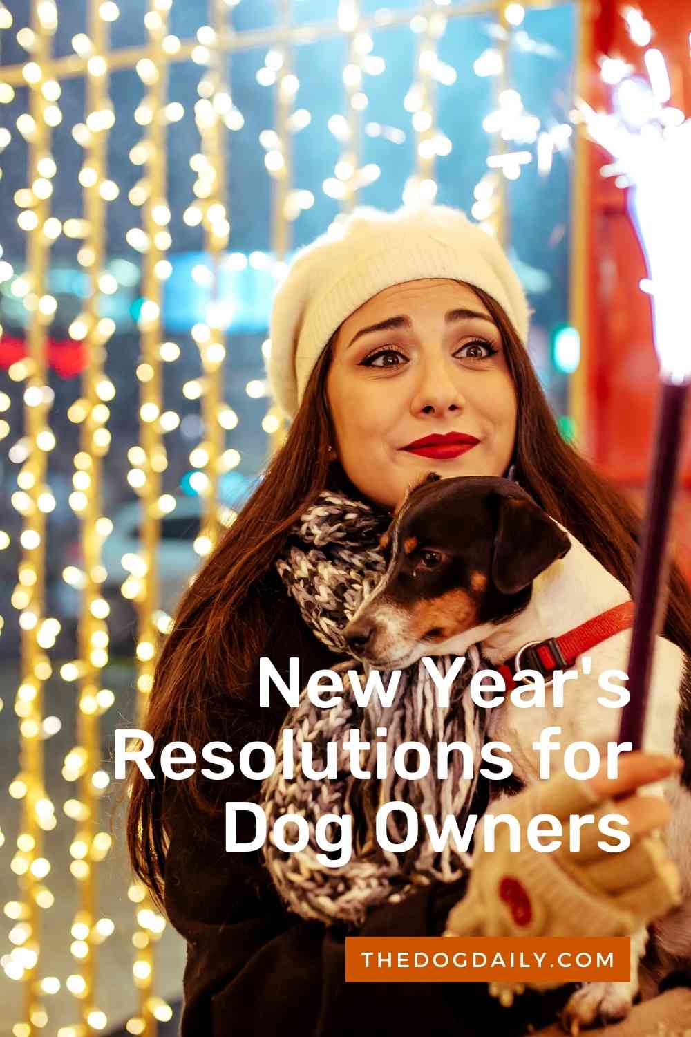 Top 6 New Year’s Resolutions for Dog Owners The Dog Daily