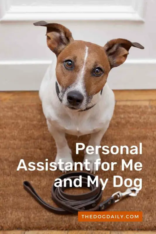 Personal Assistant for Me and My Dog thedogdaily.com