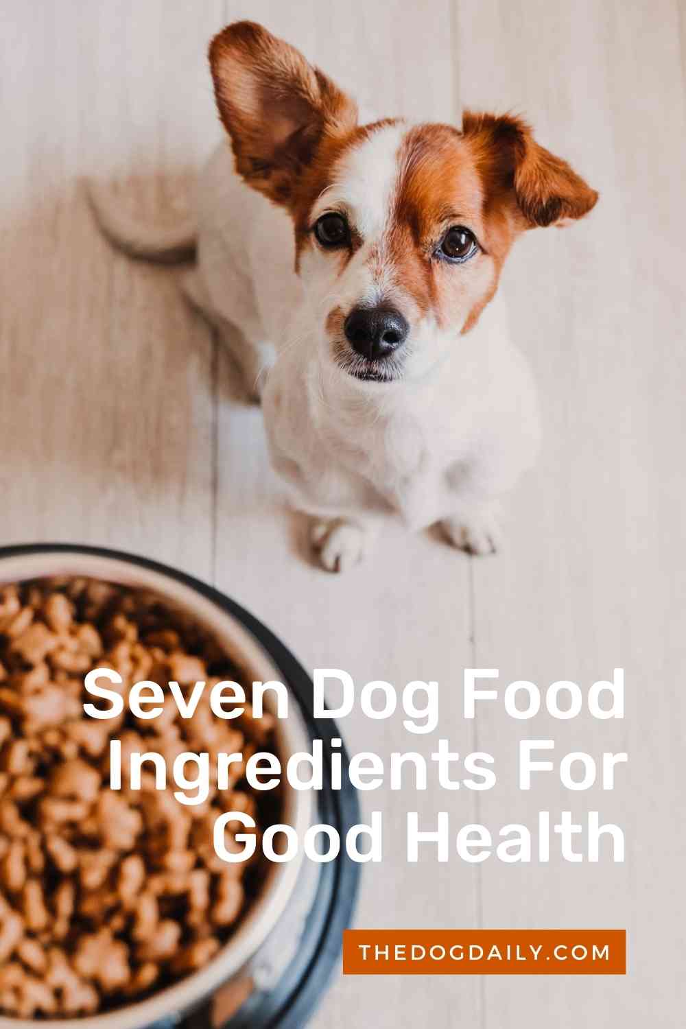 Seven Dog Food Ingredients For Your Dog's Good Health