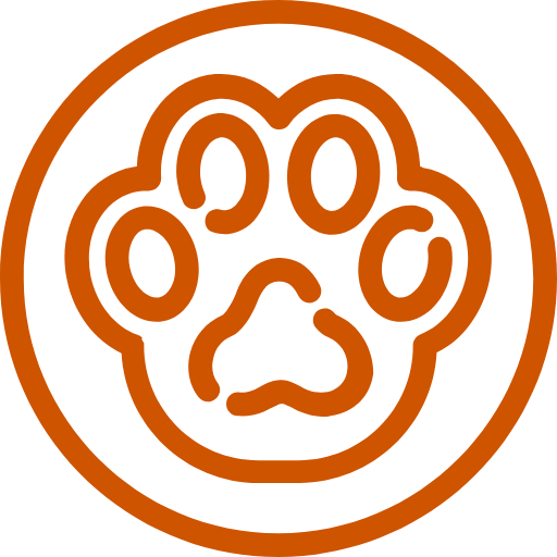 Are Tennis Balls Dangerous For Dogs? The Dog Daily