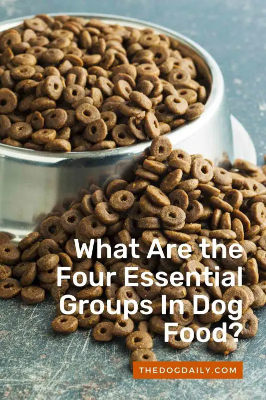 What Are the Four Essential Groups In Dog Food thedogdaily.com