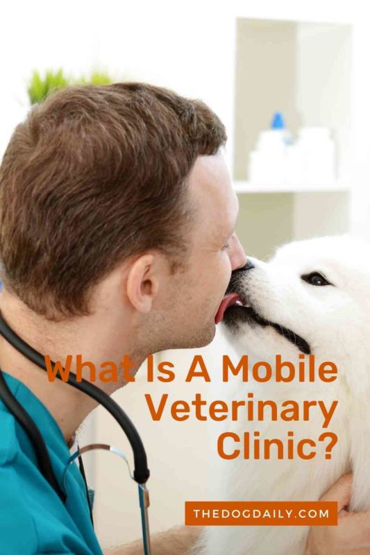 What Is a Mobile Veterinary Clinic thedogdaily.com