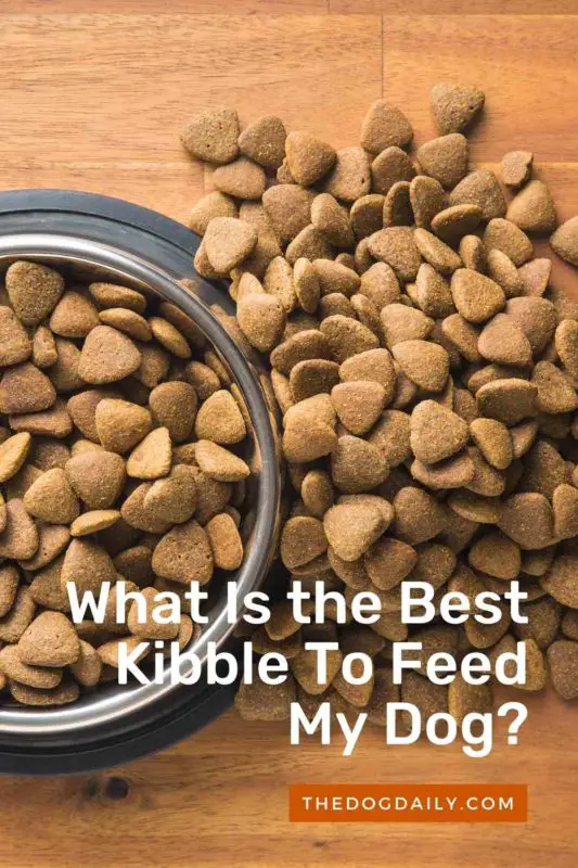 What Is the Best Kibble To Feed My Dog thedogdaily.com