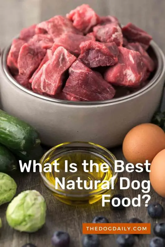 What Is the Best Natural Dog Food thedogdaily.com