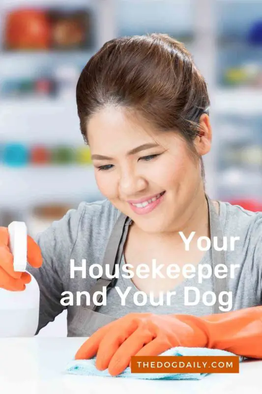 Your Housekeeper and Your Dog thedogdaily.com