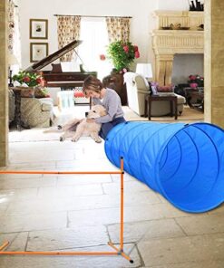 Dog Agility Course 4 thedogdaily.com