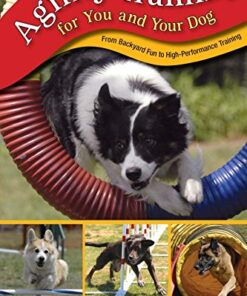 Agility Training for You and Your Dog 1 thedogdaily.com