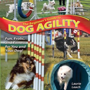 The Beginners Guide to Dog Agility 1 thedogdaily.com