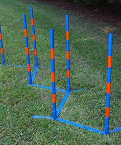 Dog Agility Weave Poles 1 thedogdaily.com