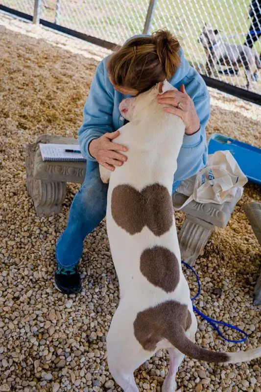 Cara with Kimbo at Newberry shelter photo by Nancy Slattery thedogdaily