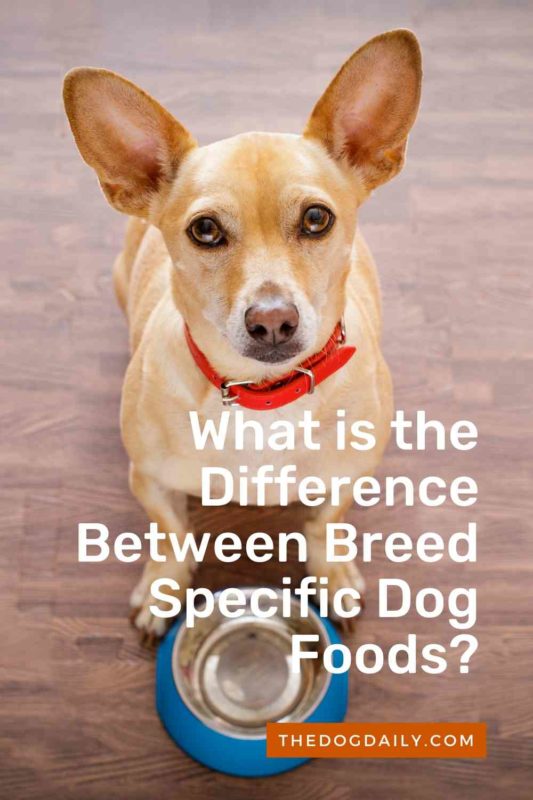 What is the Difference Between Breed Specific Dog Foods thedogdaily