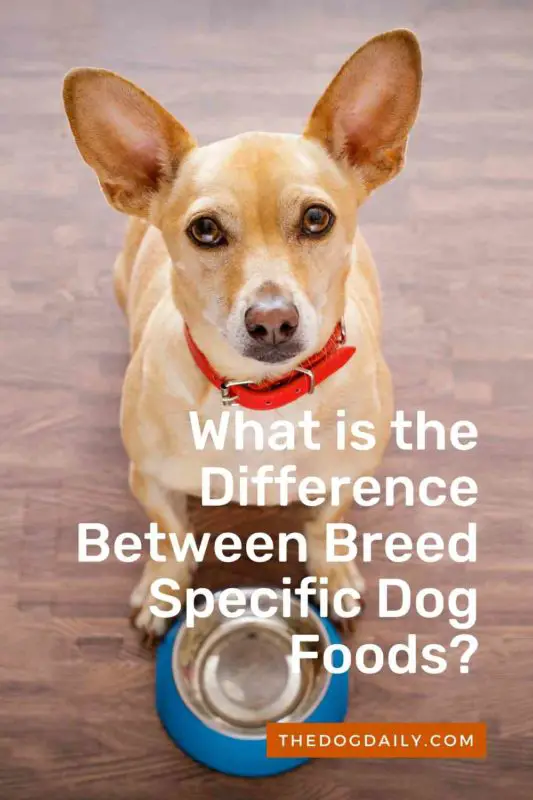 What is the Difference Between Breed Specific Dog Foods thedogdaily