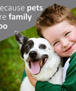 Veterinary Formula Antiparasitic and Antiseborrheic Medicated Shampoo for Dogs 4 thedogdaily.com