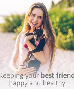 Veterinary Formula Antiparasitic and Antiseborrheic Medicated Shampoo for Dogs 1 thedogdaily.com