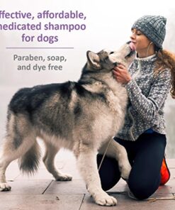 Veterinary Formula Antiparasitic and Antiseborrheic Medicated Shampoo for Dogs thedogdaily.com