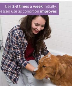 Veterinary Formula Antiparasitic and Antiseborrheic Medicated Shampoo for Dogs 3 thedogdaily.com