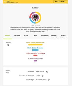 Embark | Dog DNA Test Breed & Health Kit Genetic Health Screening 7 thedogdaily.com