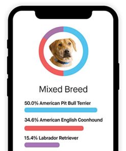 Embark Dog DNA Test Breed Identification Kit 6 thedogdaily.com