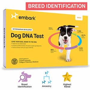 Embark Dog DNA Test Breed Identification Kit 7 thedogdaily.com