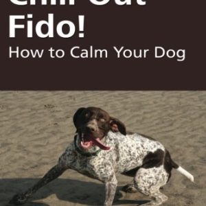 Chill Out Fido 2 thedogdaily.com