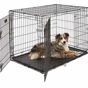 Metal Folding Dog Crate 6 thedogdaily.com