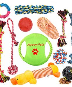 12 Pack Puppy Chew Toys thedogdaily.com