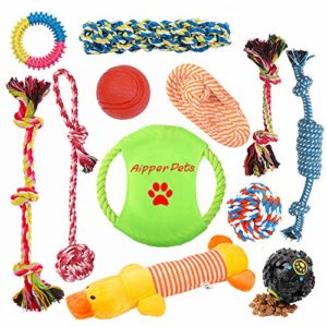 12 Pack Puppy Chew Toys thedogdaily.com