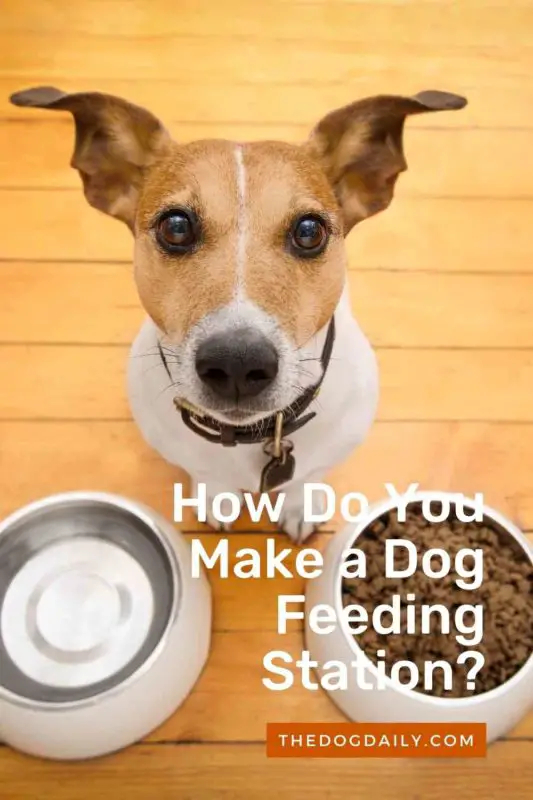 How Do You Make a Dog Feeding Station thedogdaily.com