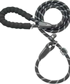 Durable Thick Nylon Dog Leash with Padded Handle 4 thedogdaily.com