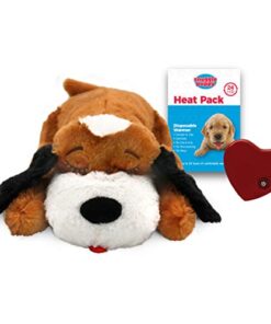 SmartPetLove Snuggle Puppy Behavioral Aid Toy 5 thedogdaily.com
