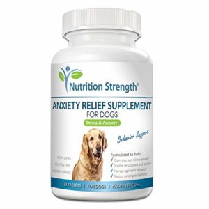 Nutrition Strength Dog Anxiety Relief Supplement 5 thedogdaily.com