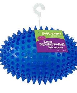 Gnawsome Spiky Squeaker Football Dog Toy - Large 6 thedogdaily.com