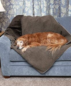 Furhaven Insulated Dog Blanket thedogdaily.com