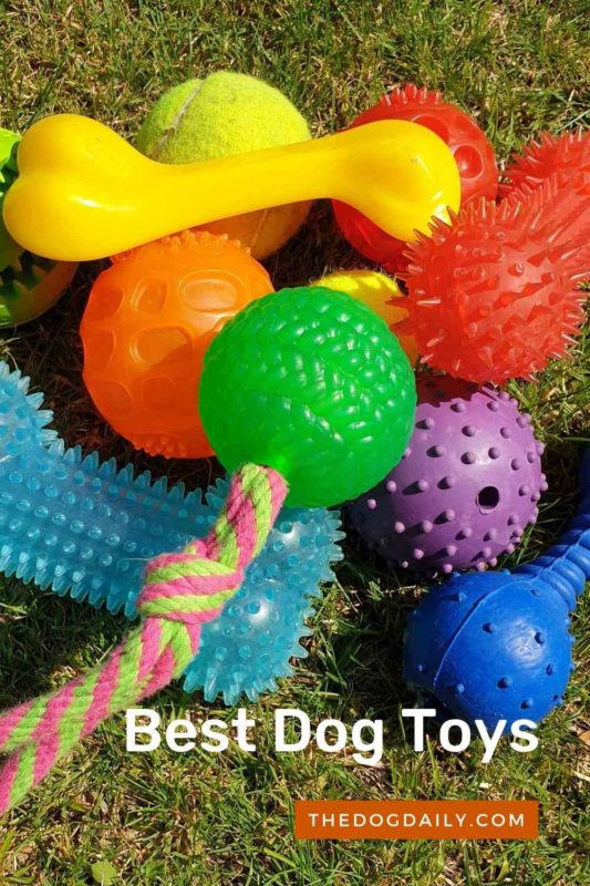 Best Dog Toys thedogdaily.com