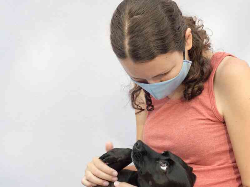 How To Train a New Puppy During Lockdown