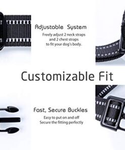 Rabbitgoo No-Pull Dog Harness 6 thedogdaily.com