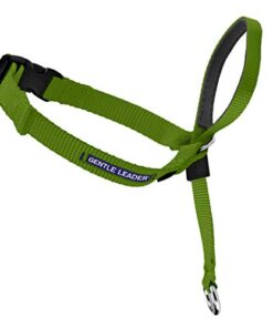 PetSafe Gentle Leader Head Collar 5 thedogdaily.com
