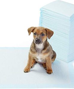 AmazonBasics Dog and Puppy Potty Training Pads 11 thedogdaily.com